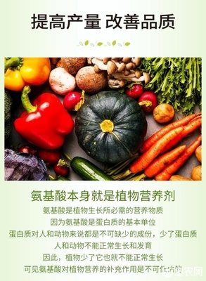 微生物有機肥與氨基酸肥料的協同創新 復合氨基酸原粉、水溶肥及葉面肥的生物有機肥料研發